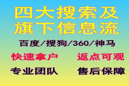 SEM代理助力品牌：案例解析与优化策略
